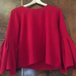 Red Drama Sleeve from Zara (Sz S)